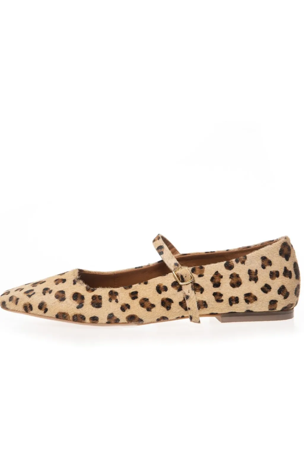 All For Love-Beige Lep CS8365