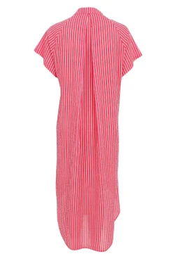 Bcmolly S/S Dress 40870