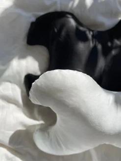 Betræk til Le Grand 100% silke White