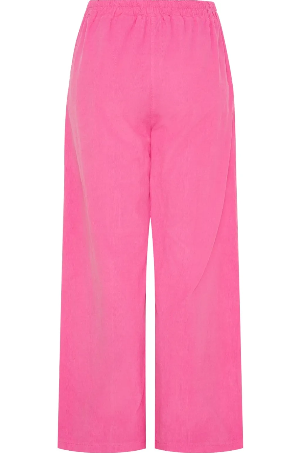 Cvioleta Pants 62543
