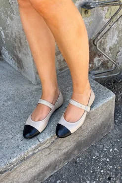 Dreaming Of Love CS8528