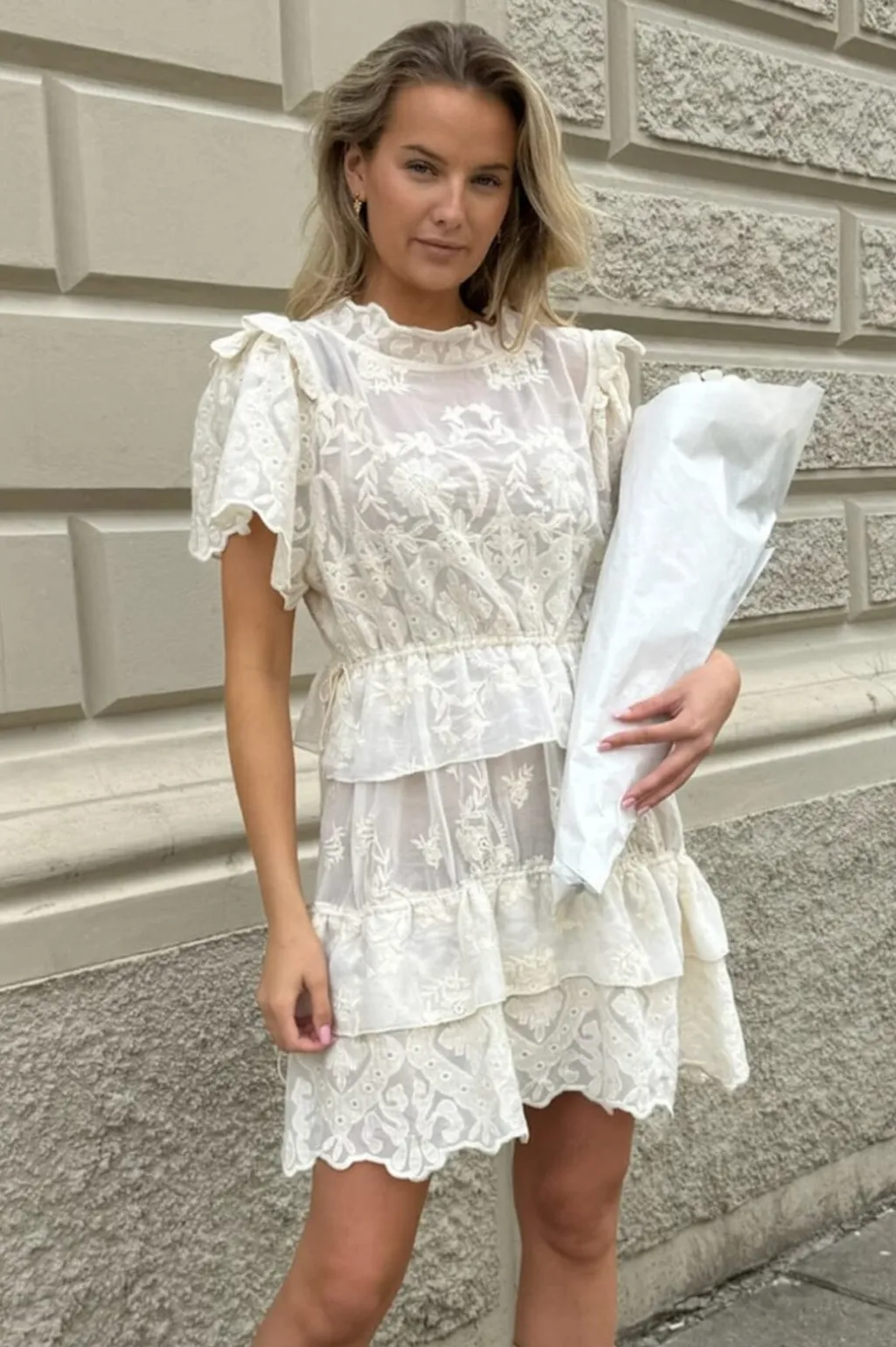 Ellinoric Lace Layer Dress