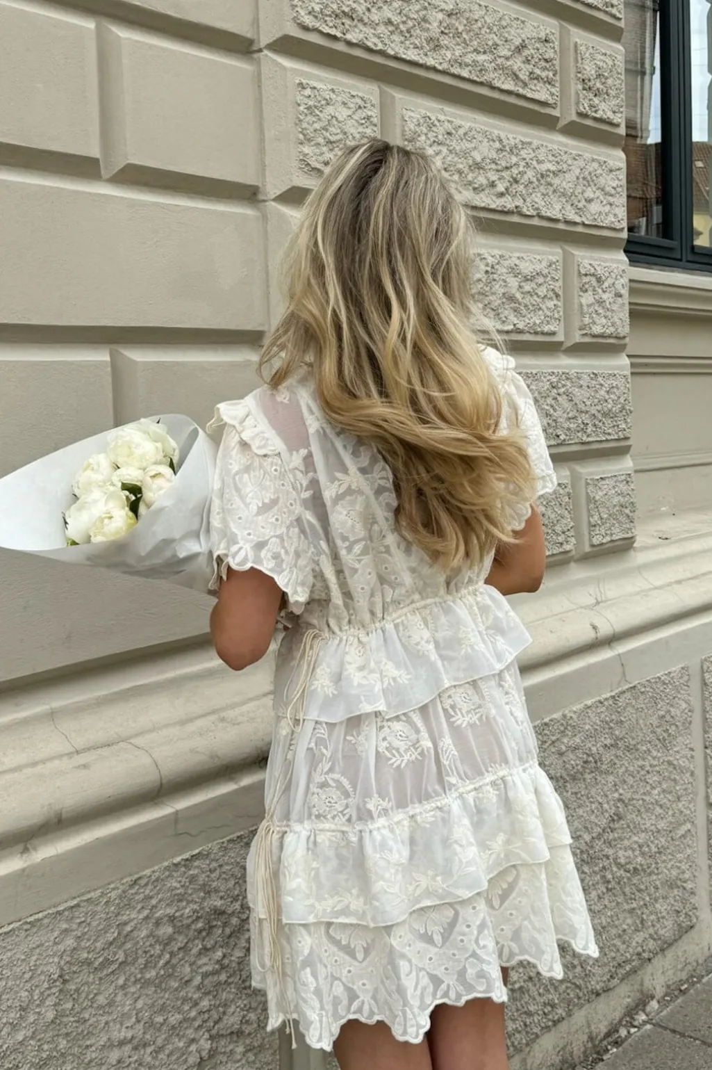 Ellinoric Lace Layer Dress