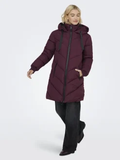 Jdyskylar Life Hood Jacket