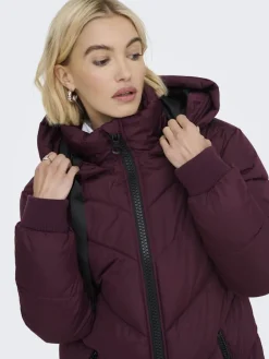 Jdyskylar Life Hood Jacket