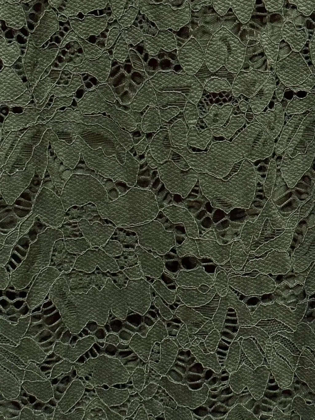 Long Flower Lace Skirt _-W_