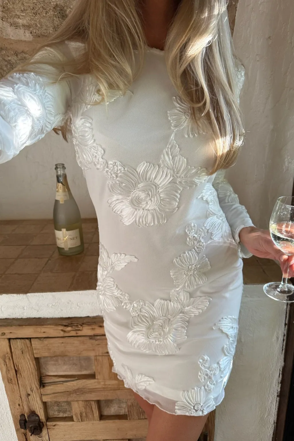 Malouic Mesh Dress A23748