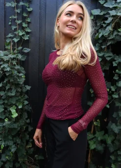 Mesh Ls Sparkle Tshirt 22134