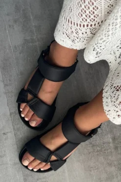 My Summer Days CS7823