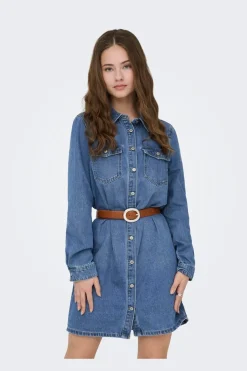 Onllisa L/S Dress Gua