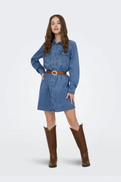 Onllisa L/S Dress Gua