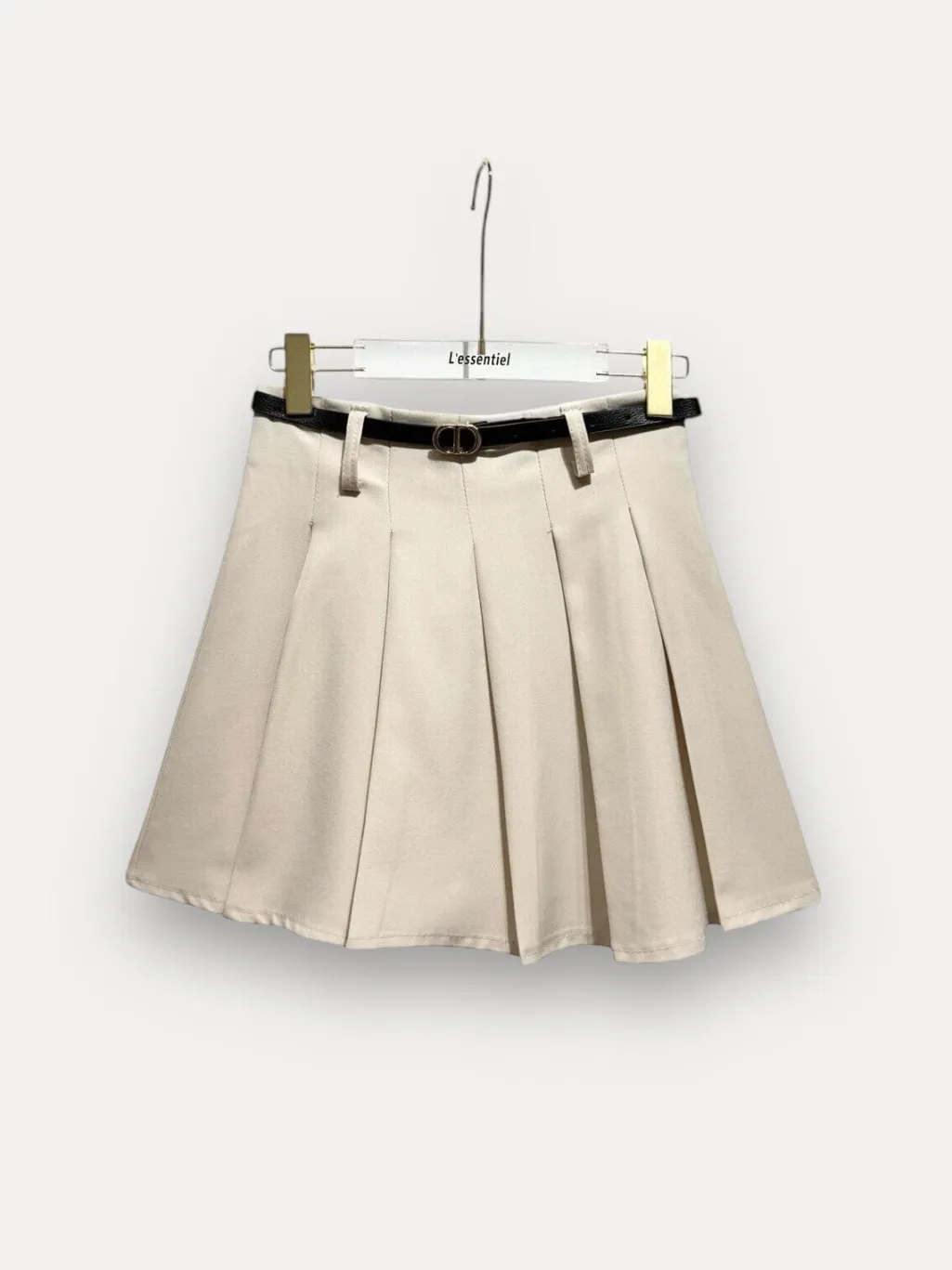 Pleated Trapeze Skirt