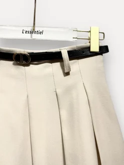 Pleated Trapeze Skirt