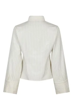 Rosa Pinstripe Shirt 163561