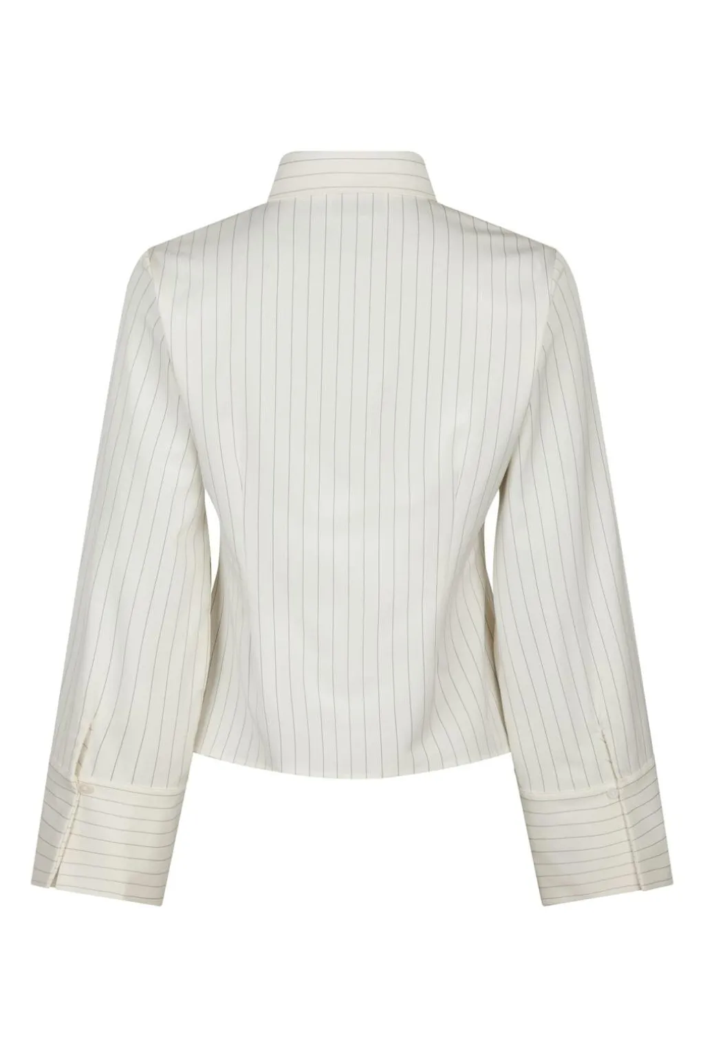 Rosa Pinstripe Shirt 163561