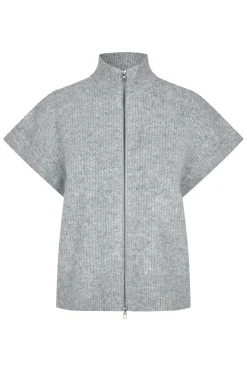 Roselina Short-M 50529858