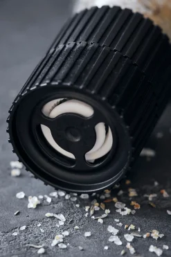 Salt, Hvidløg & Timian