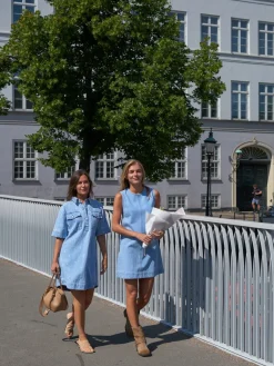 Saras Denim Emb Dress 166045