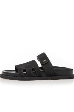 Summer Passion Plain CS8496