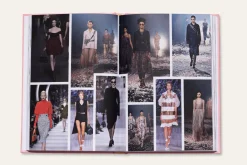 The Essence Of Dior HS1011