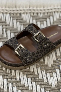 Walk Around Lep CS8577