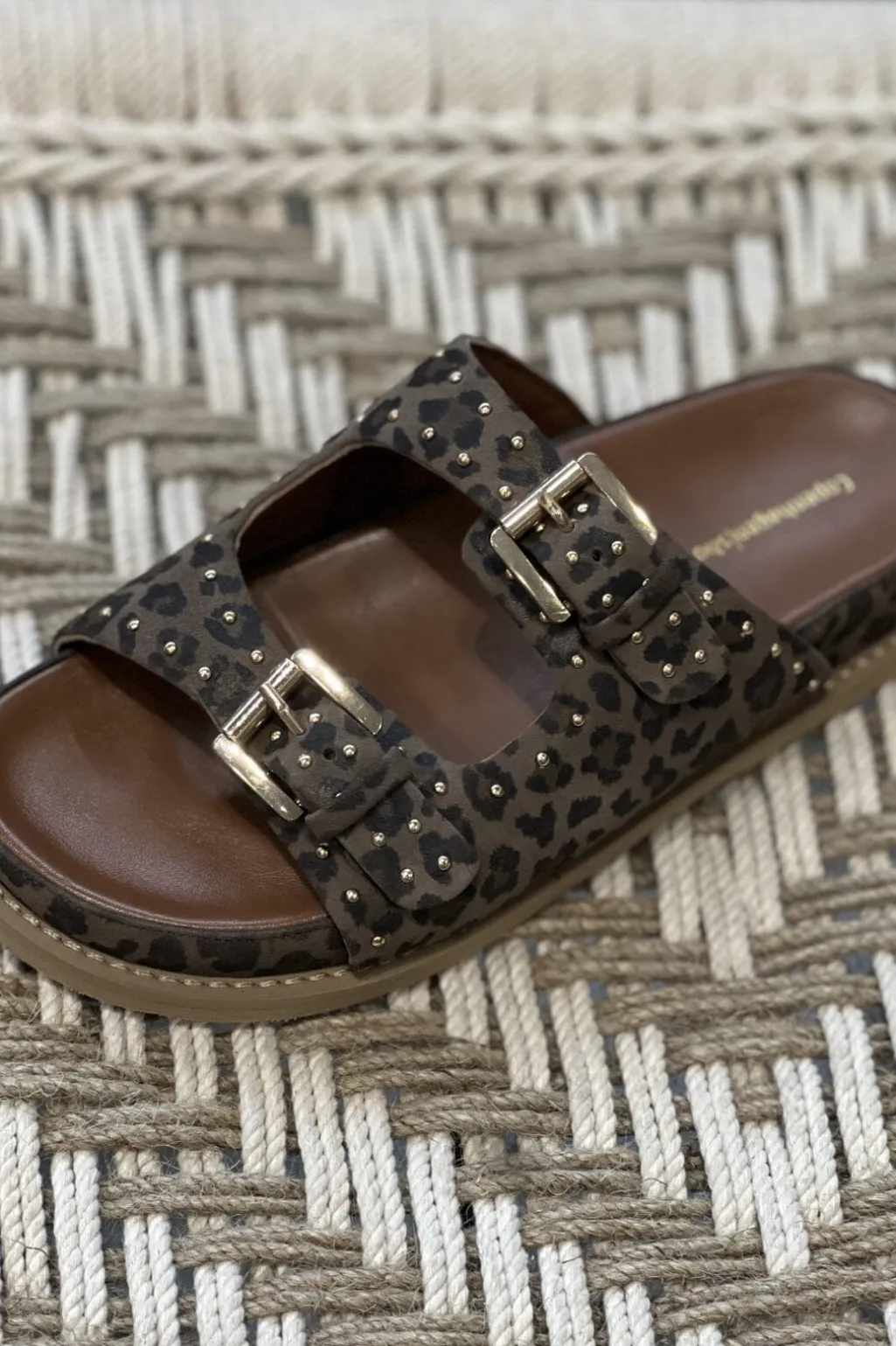 Walk Around Lep CS8577